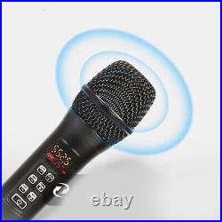 Biner DX-7 UHF Handheld Microphone Wireless 2 MIC System Built-in Sound Card