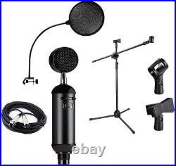 Blue Blackout Spark SL, Mic Stand, Mic Clip, XLR cable and Pop Filter