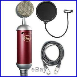 Blue Spark SL Studio Condenser Mic with AxcessAbles Mic Pop Filter and Audio Cable